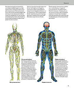 Anatomia człowieka. Wizualny przewodnik po wszystkich systemach organizmu: norma i patologie